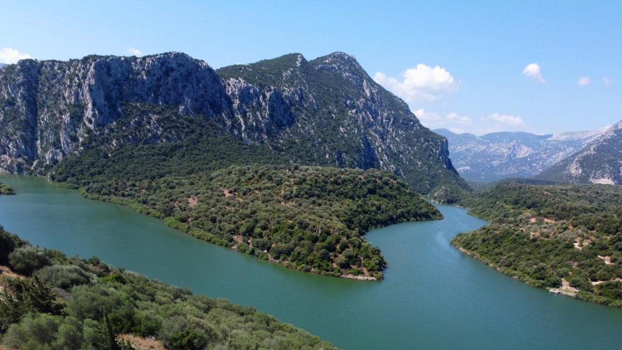 Cedrino