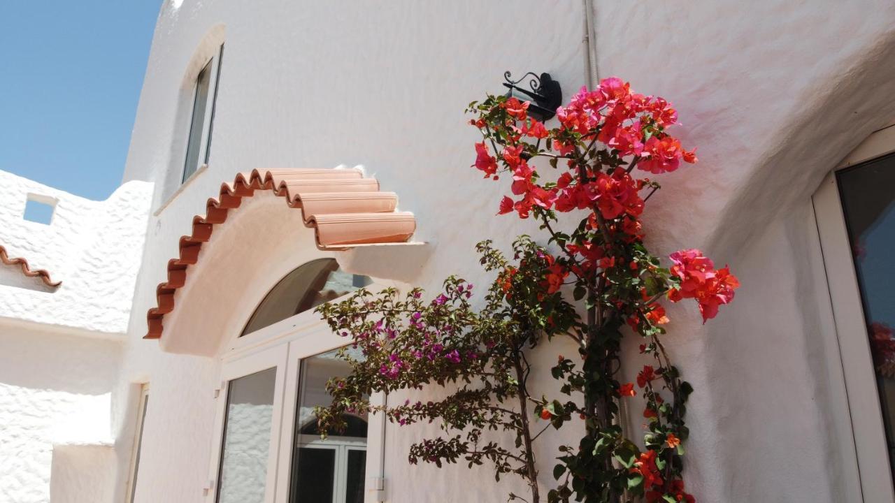 Hotel Cedrino 3*